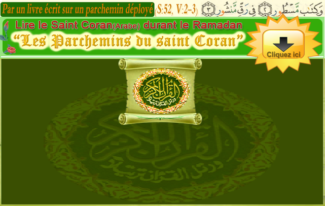 Obtenir Adobe Flash Player